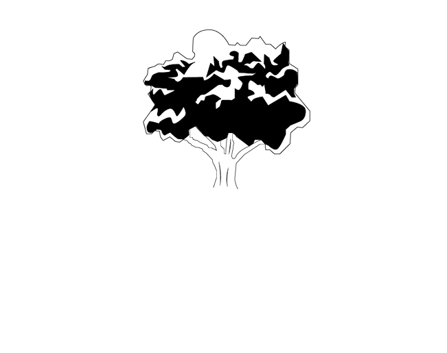 Brothers Landscaping Services logo